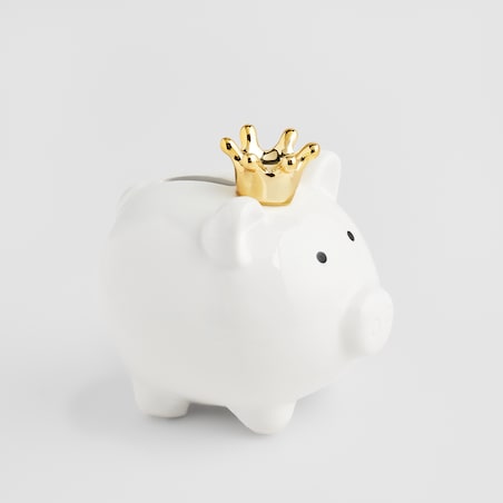 Skarbonka Glampigi z motywem zwierzęcym