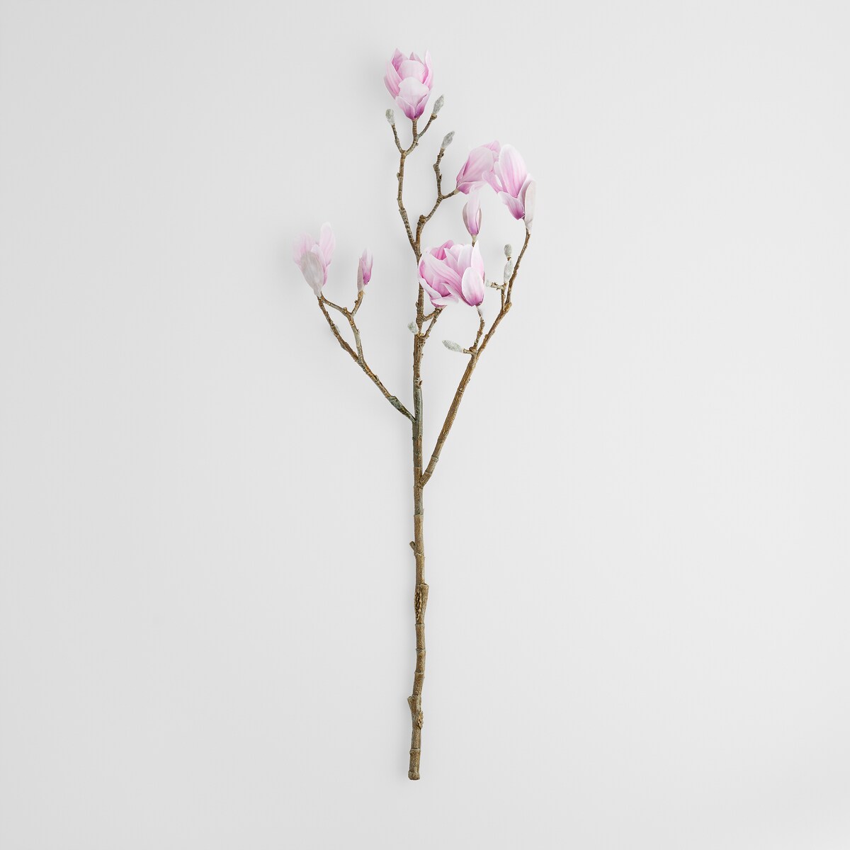 Kwiat Magnoso z motywem roślinnym