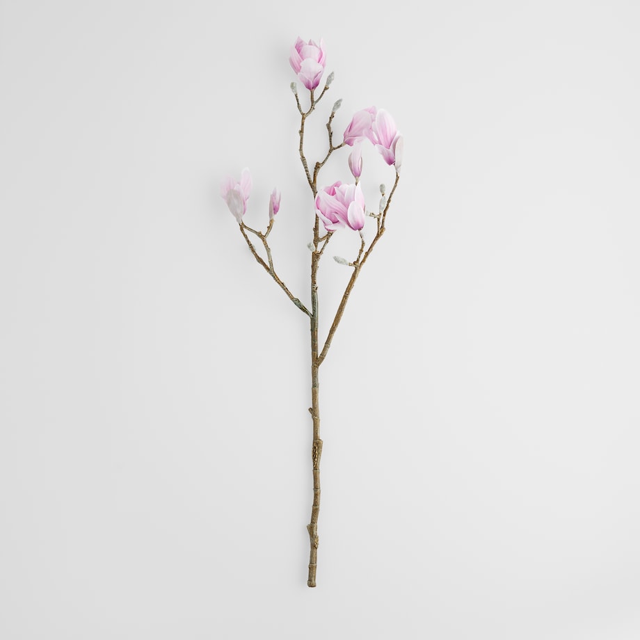 Kwiat Magnoso z motywem roślinnym