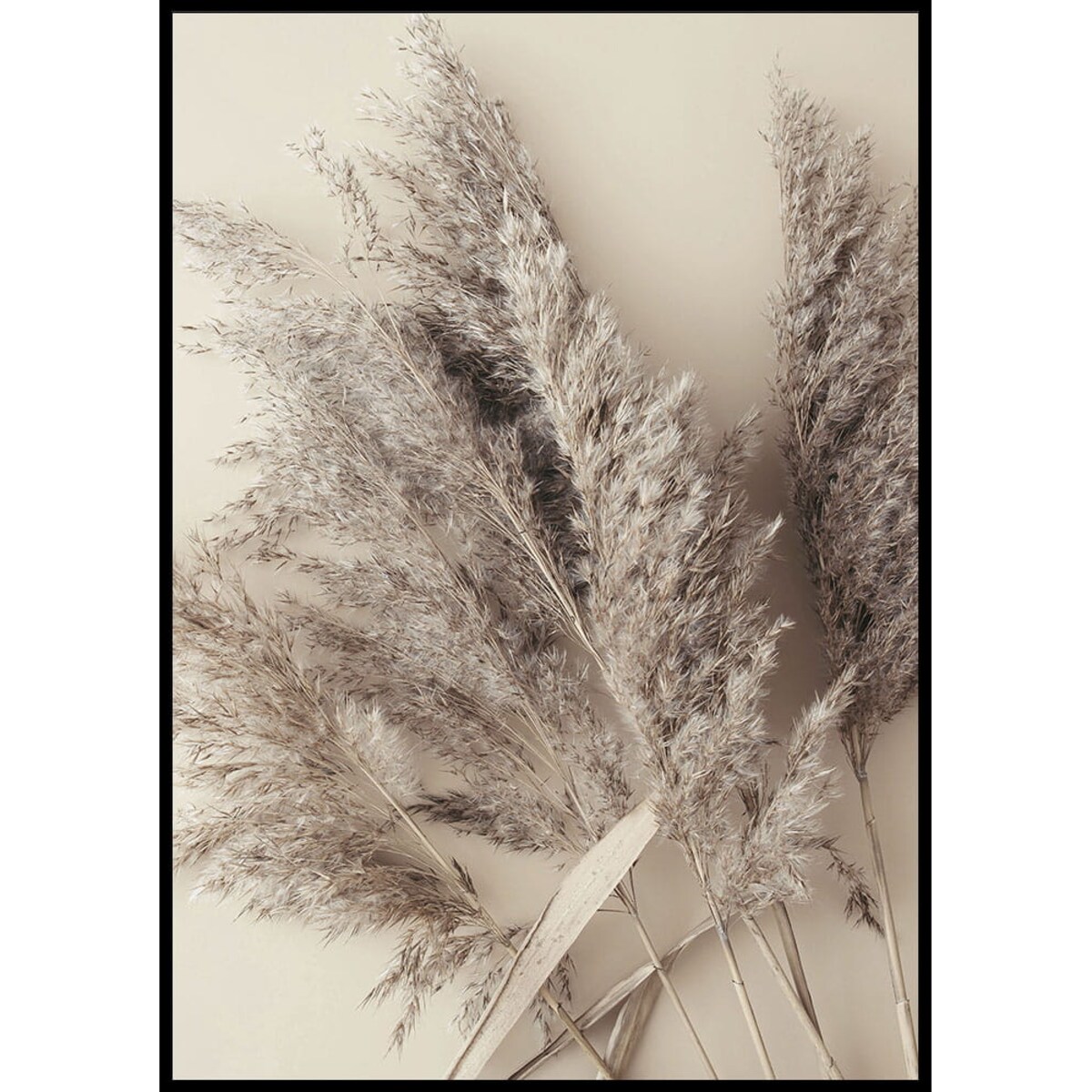 plakat trawa pampasowa beż 30x40 cm