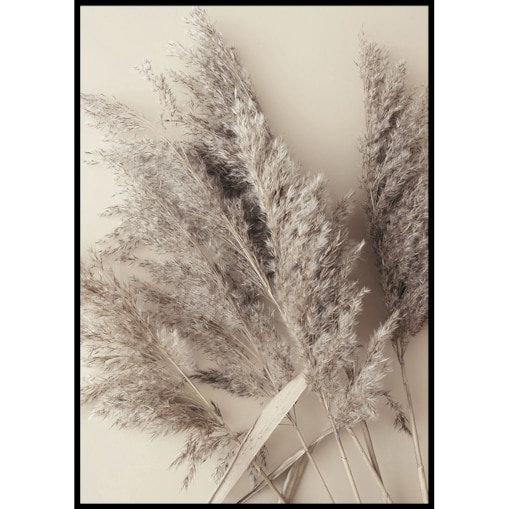plakat trawa pampasowa beż 30x40 cm