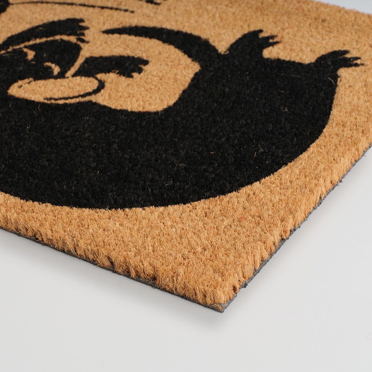 Wycieraczka Envidio 40x60 cm