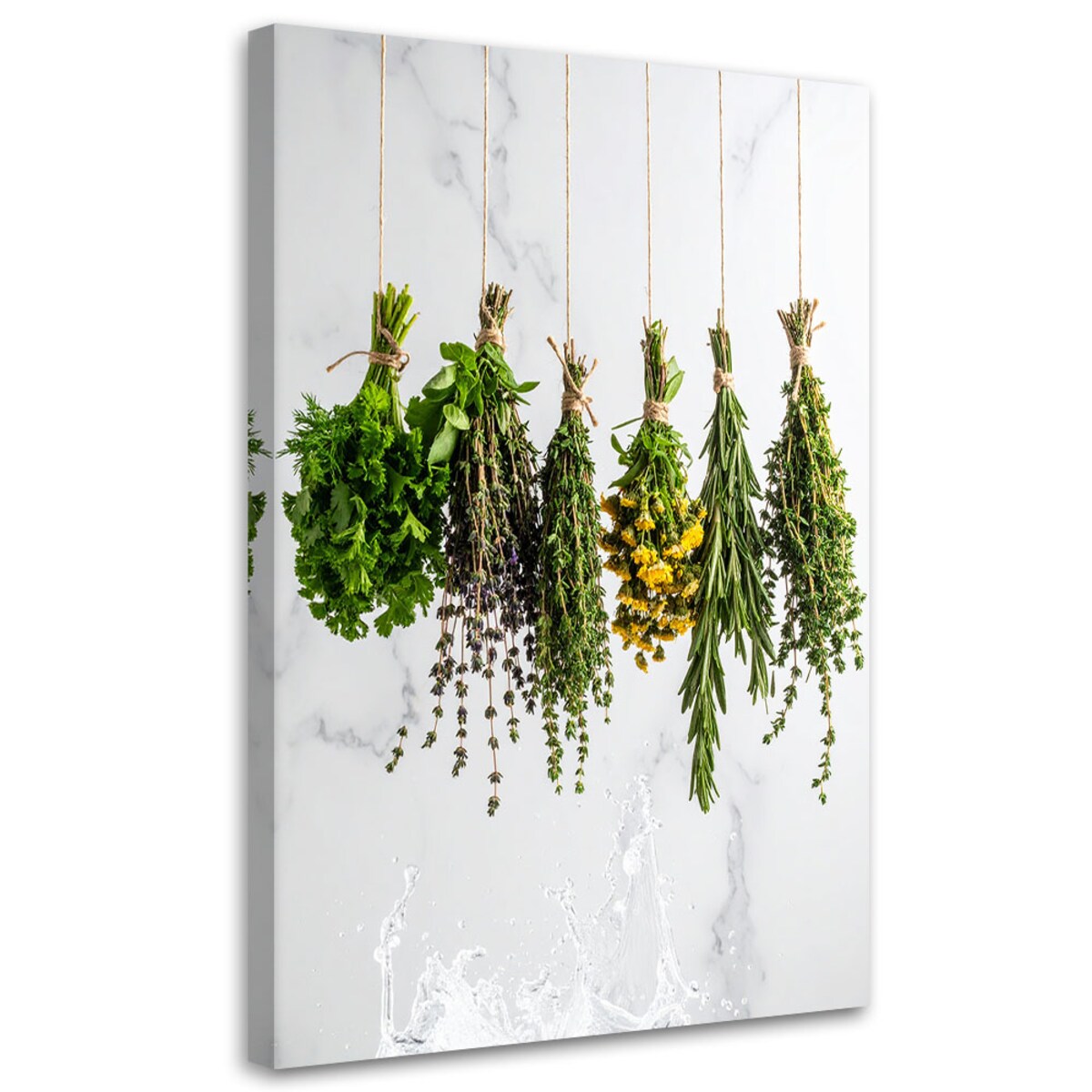 Obraz do kuchni jadalni baru, Zioła przyprawy rośliny 40x60