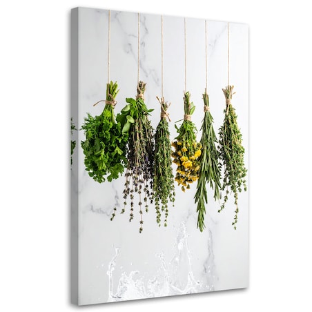 Obraz do kuchni jadalni baru, Zioła przyprawy rośliny 40x60