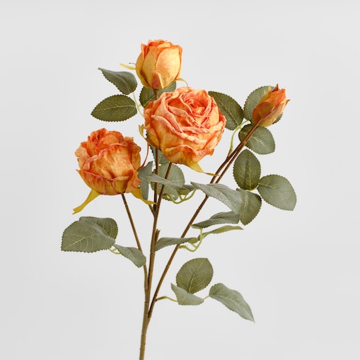 Bukiet Rosette