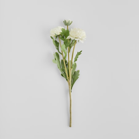 Kwiat Ramoso z motywem kwiatowym