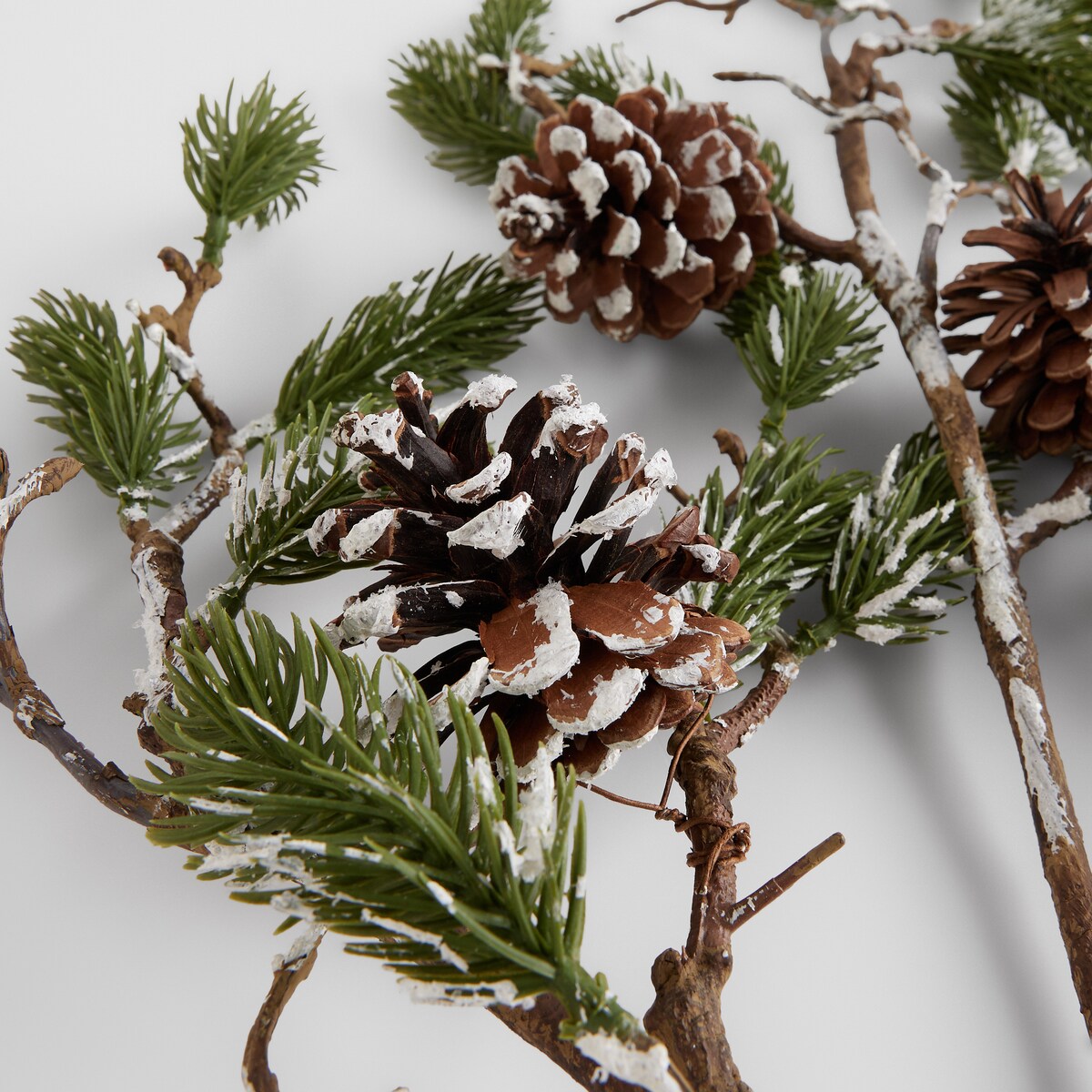 Bukiet Conifer
