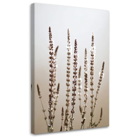 Obraz do salonu kuchni jadalni, Suche rośliny natura beżowy 40x60
