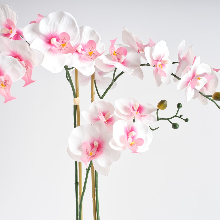 Stroik Orchanes z motywem roślinnym