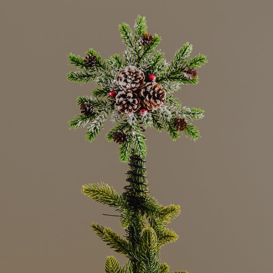 Czubek Na Choinkę Forest