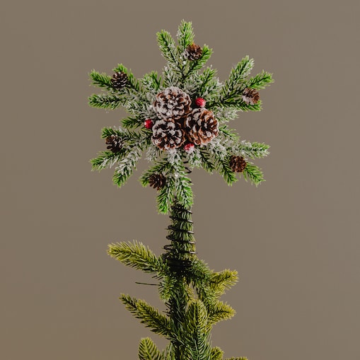 Czubek Na Choinkę Forest