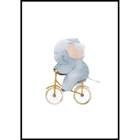 plakat słoń na rowerze 50x70 cm