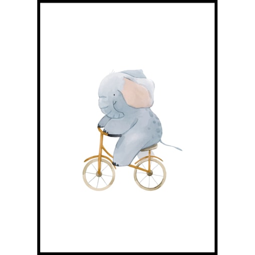 plakat słoń na rowerze 50x70 cm