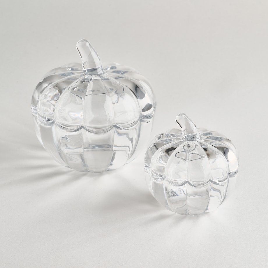 Pojemnik Glassdini