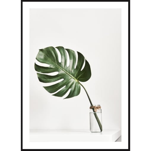Poster Story, Plakat, Obraz - Monstera w Szklanym Wazonie
