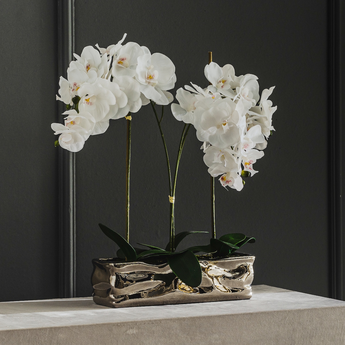 Stroik Orchianum big