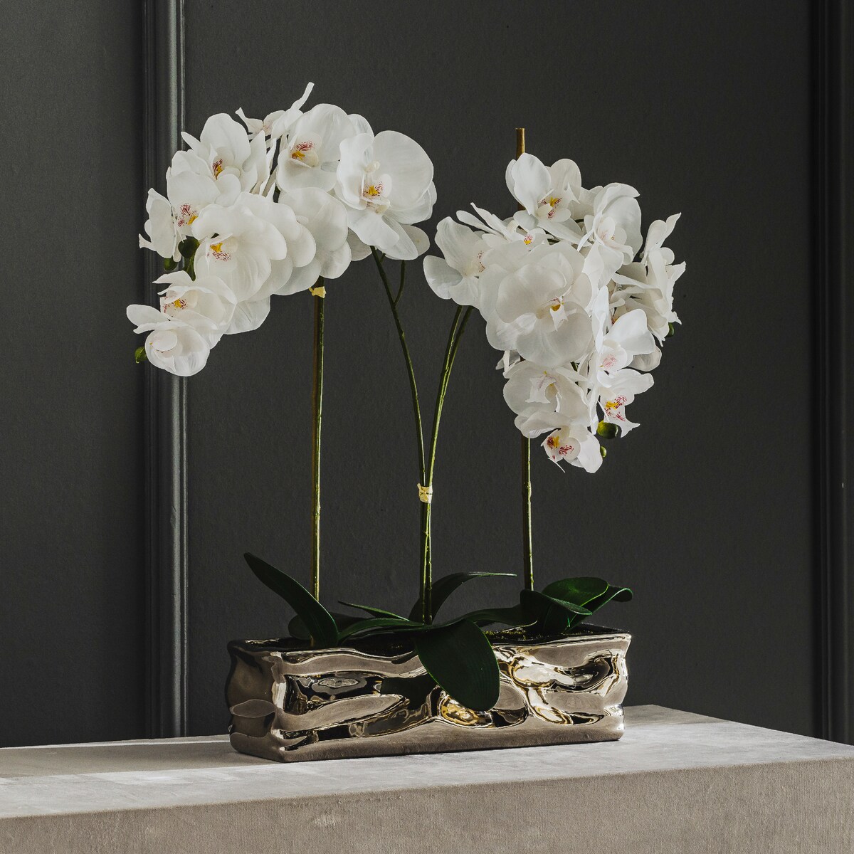 Stroik Orchianum big