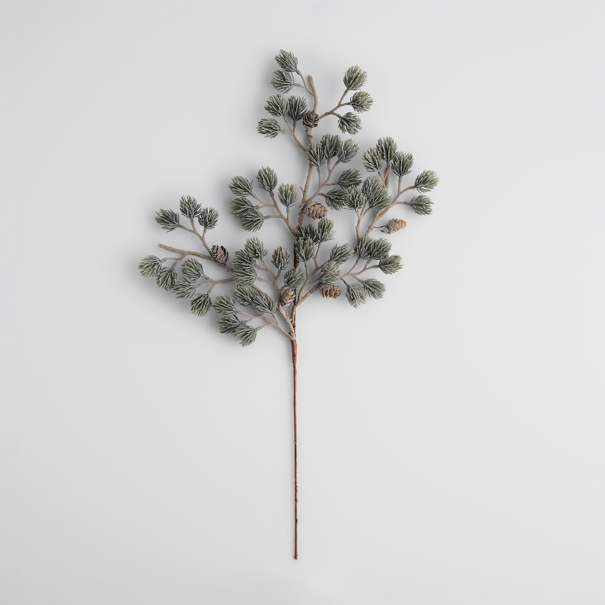 Kwiat Mattinas z motywem roślinnym