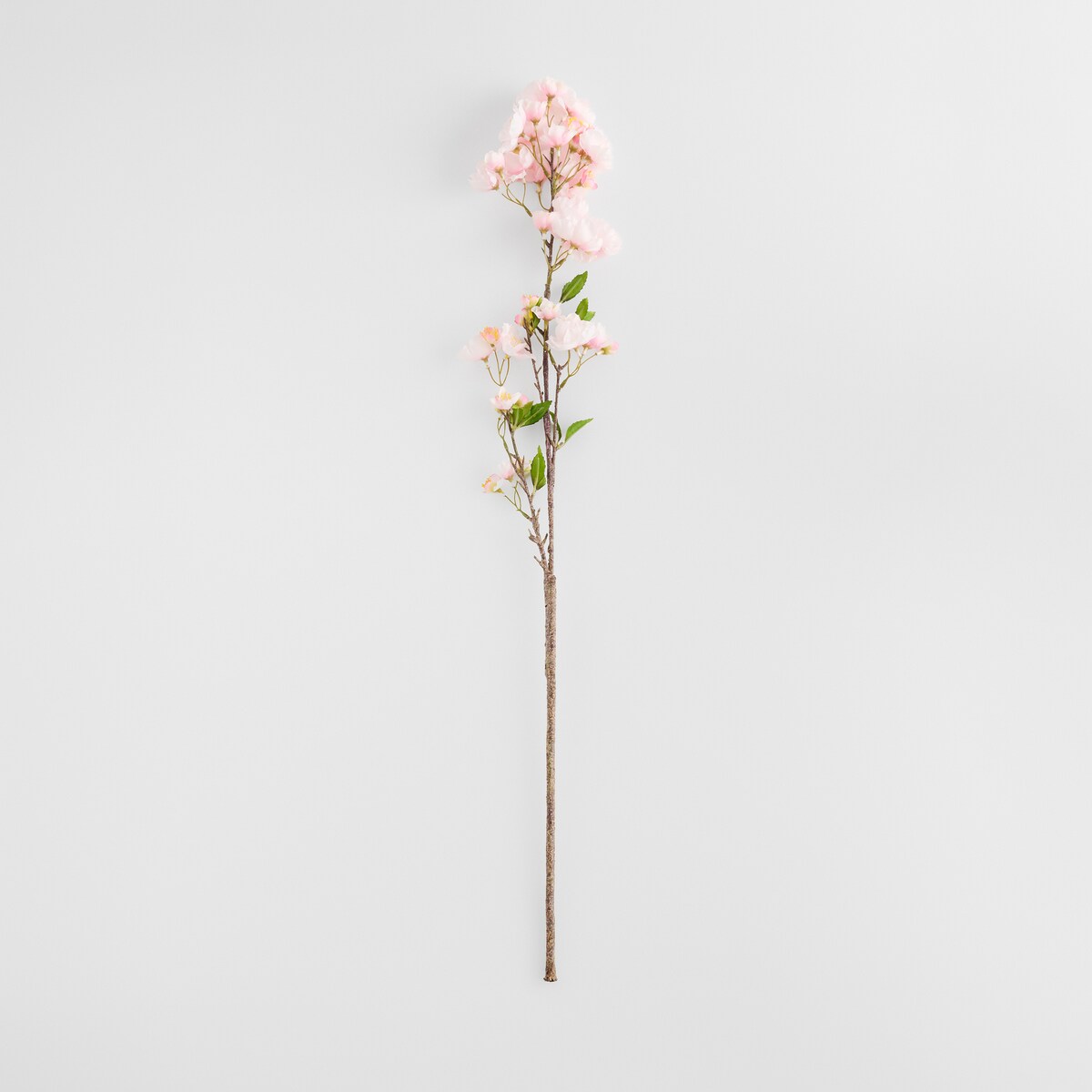 Kwiat Cerezo z motywem roślinnym