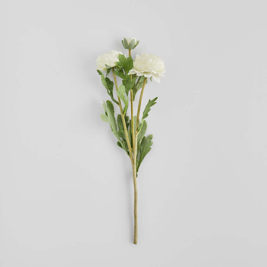 Kwiat Ramoso z motywem kwiatowym