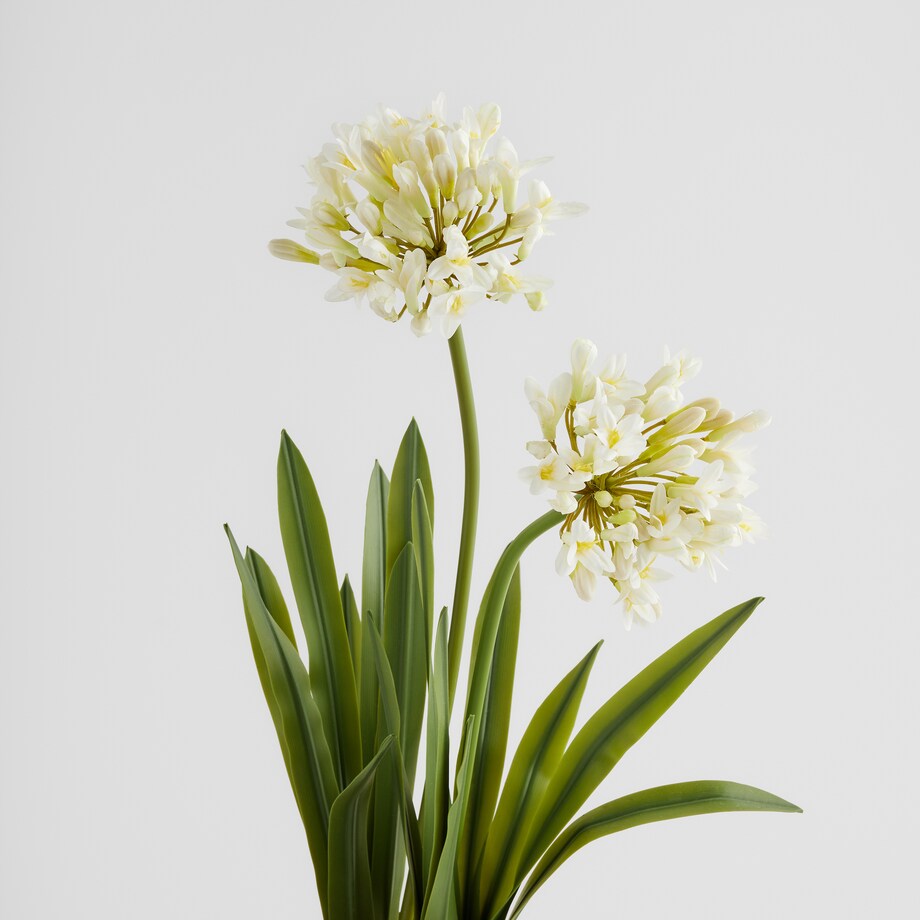 Stroik Agupant z motywem roślinnym