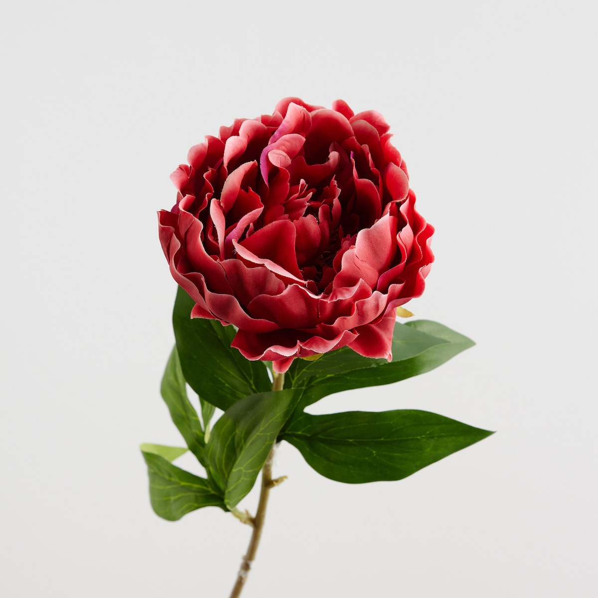 Kwiat Amelia z motywem roślinnym