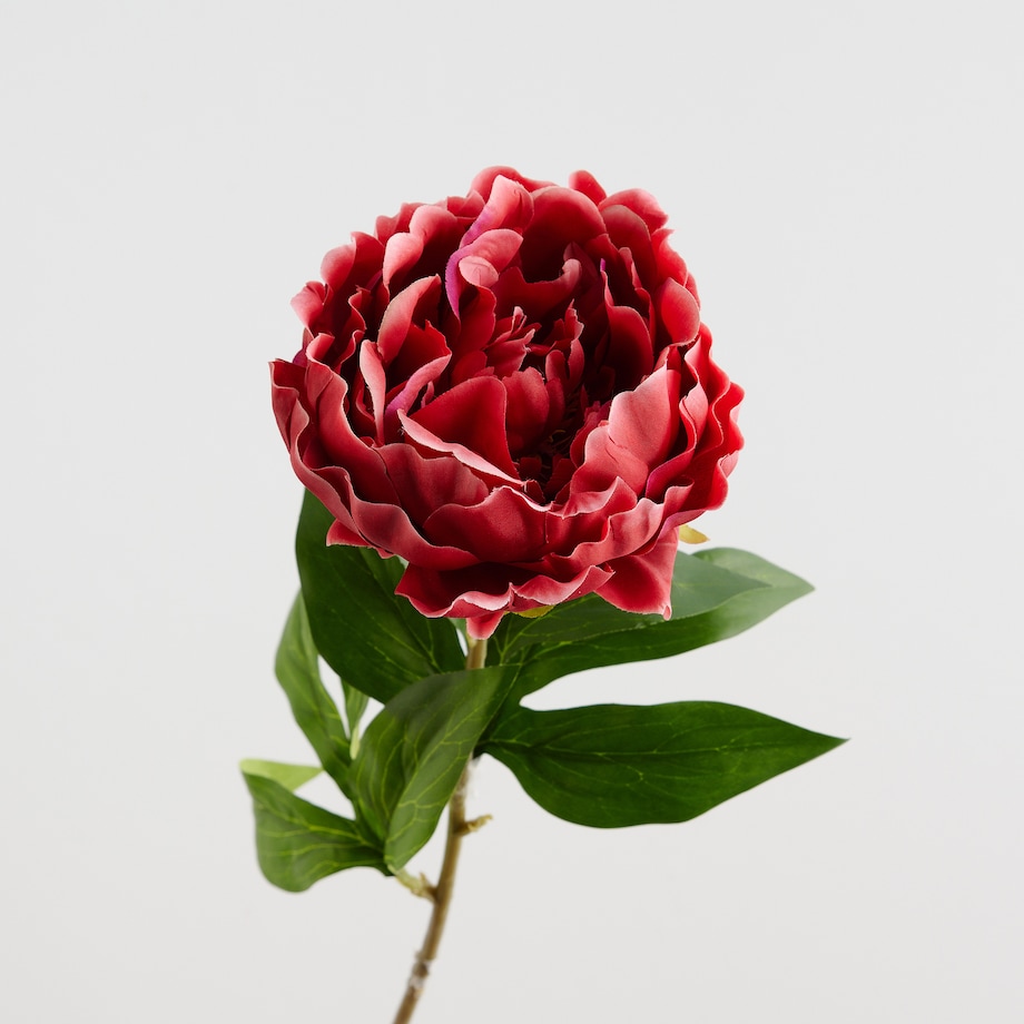 Kwiat Amelia z motywem roślinnym