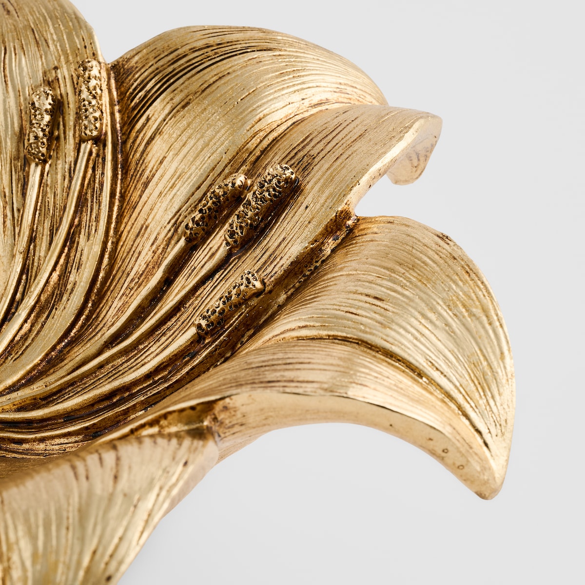 Misa Dekoracyjna Rocelia