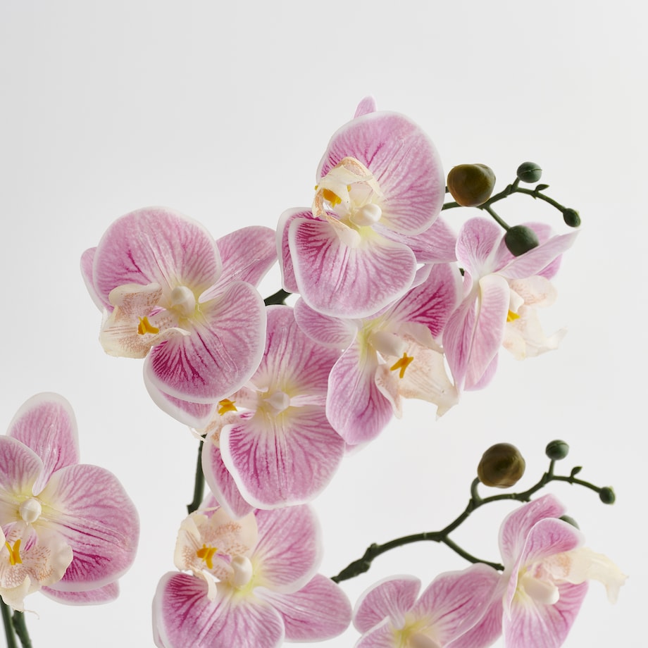 Stroik Orchianum z motywem roślinnym