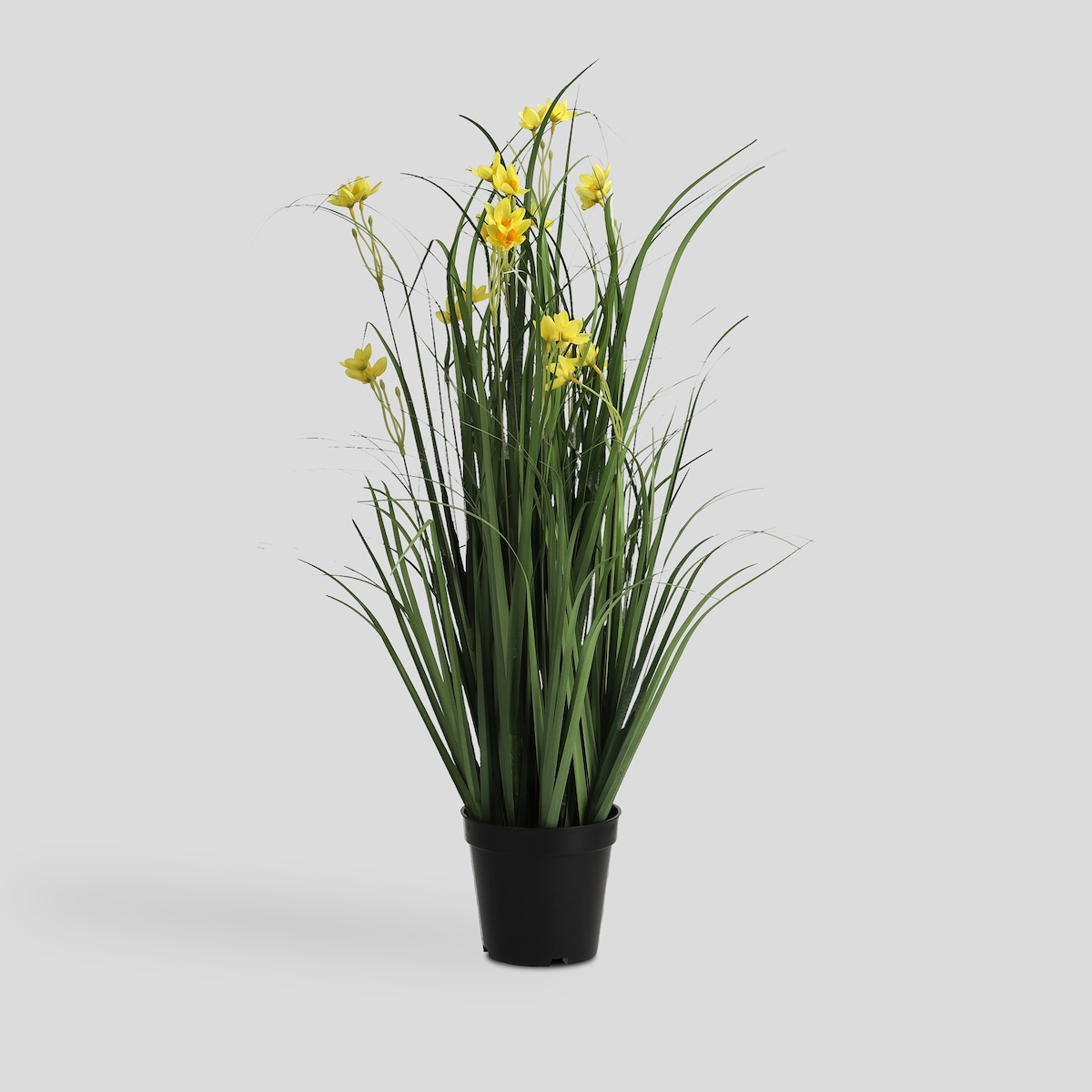 Stroik Flowergrass