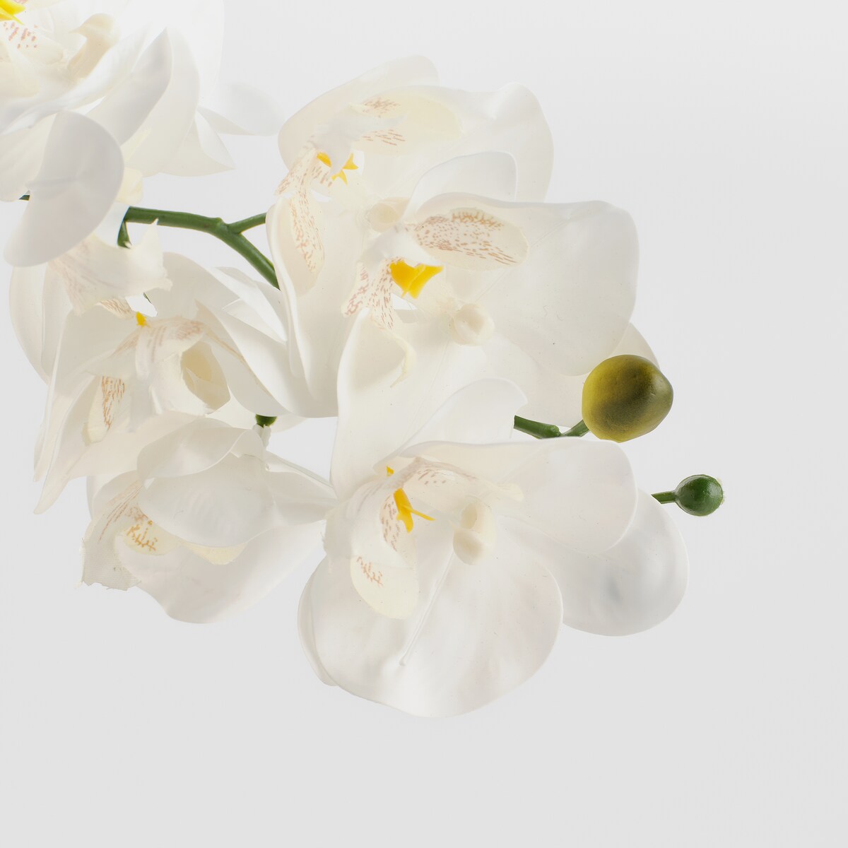 Sztuczne kwiaty w doniczce Orchianumes