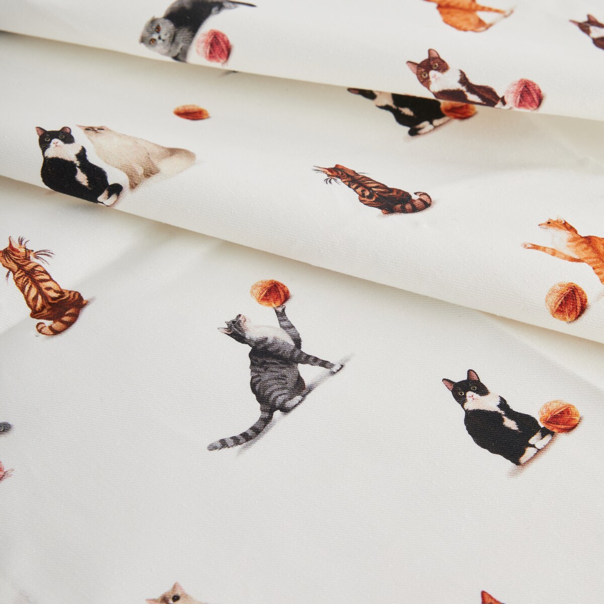 Komplet Ścierek Gattino 45x65 cm z motywem zwierzęcym