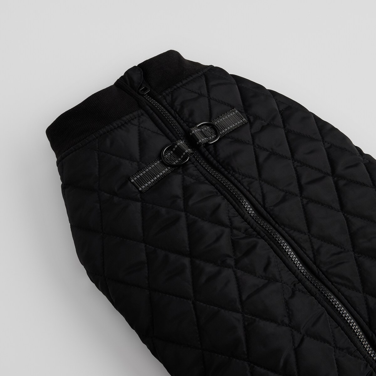 Ubranko Dla Zwierzaka Celio