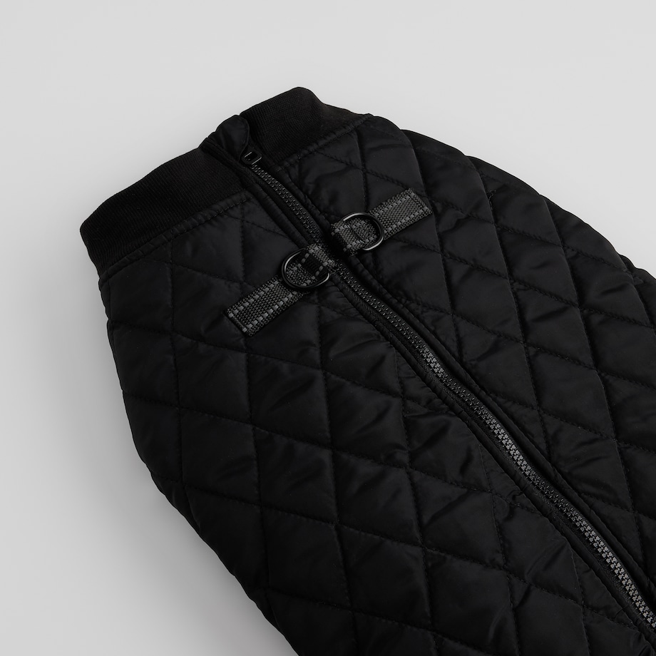 Ubranko Dla Zwierzaka Celio