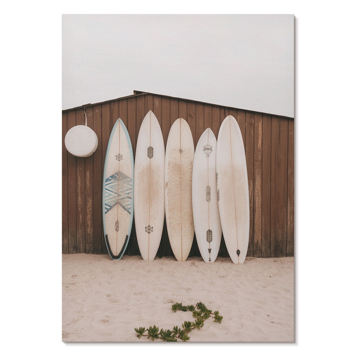 Plakat na płótnie canvas - Deski surfingowe