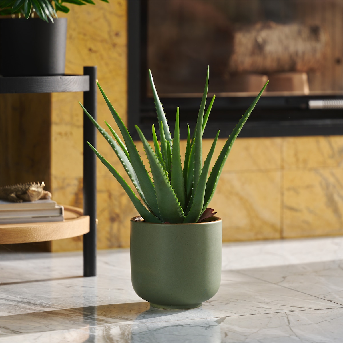 Stroik Aloe