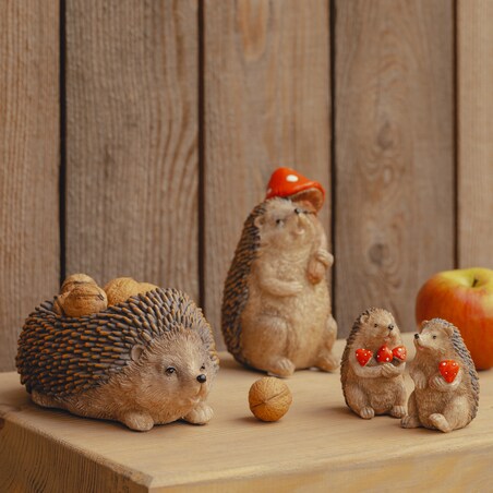 Misa Dekoracyjna Hoogos