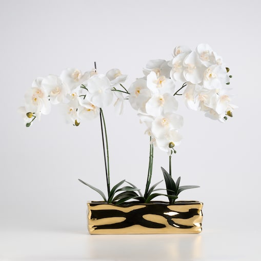 Stroik Orchianum big z motywem roślinnym