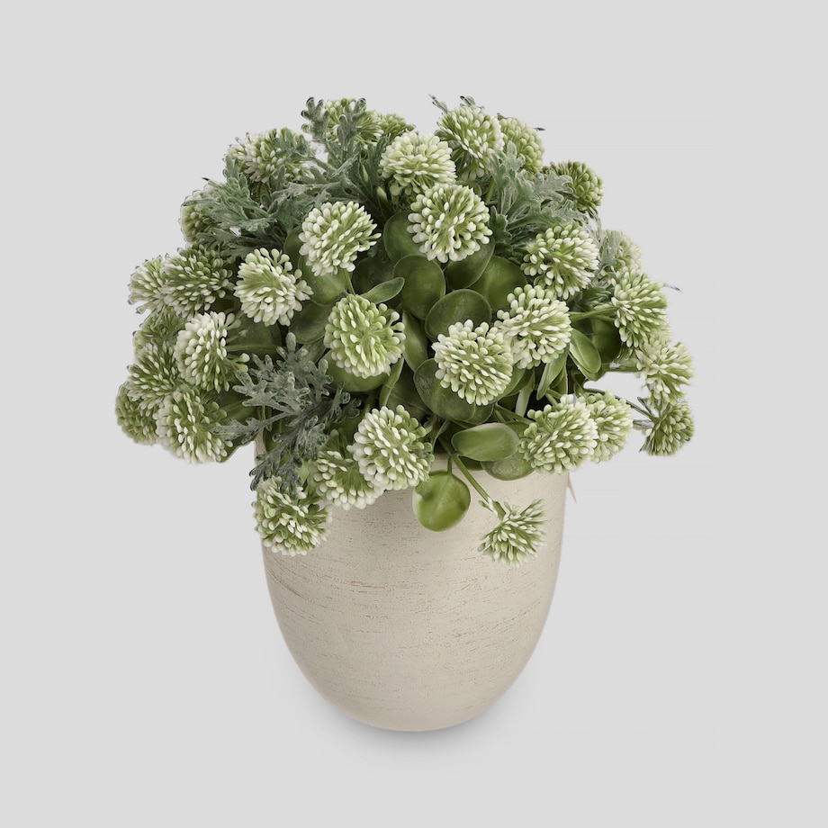 Stroik Damizio z motywem roślinnym