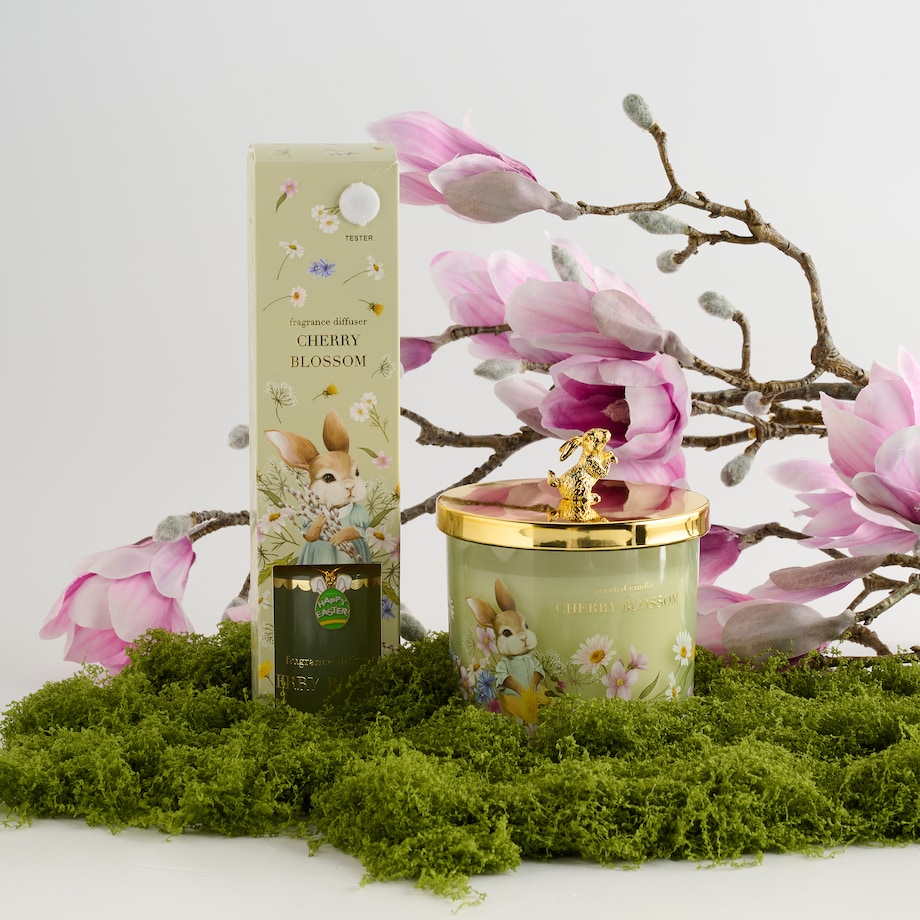 Dyfuzor zapachowy z patyczkami Emi 100 ml