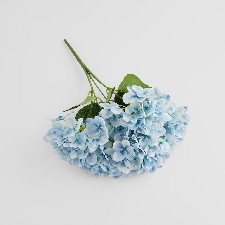 Bukiet Hortensio z motywem roślinnym