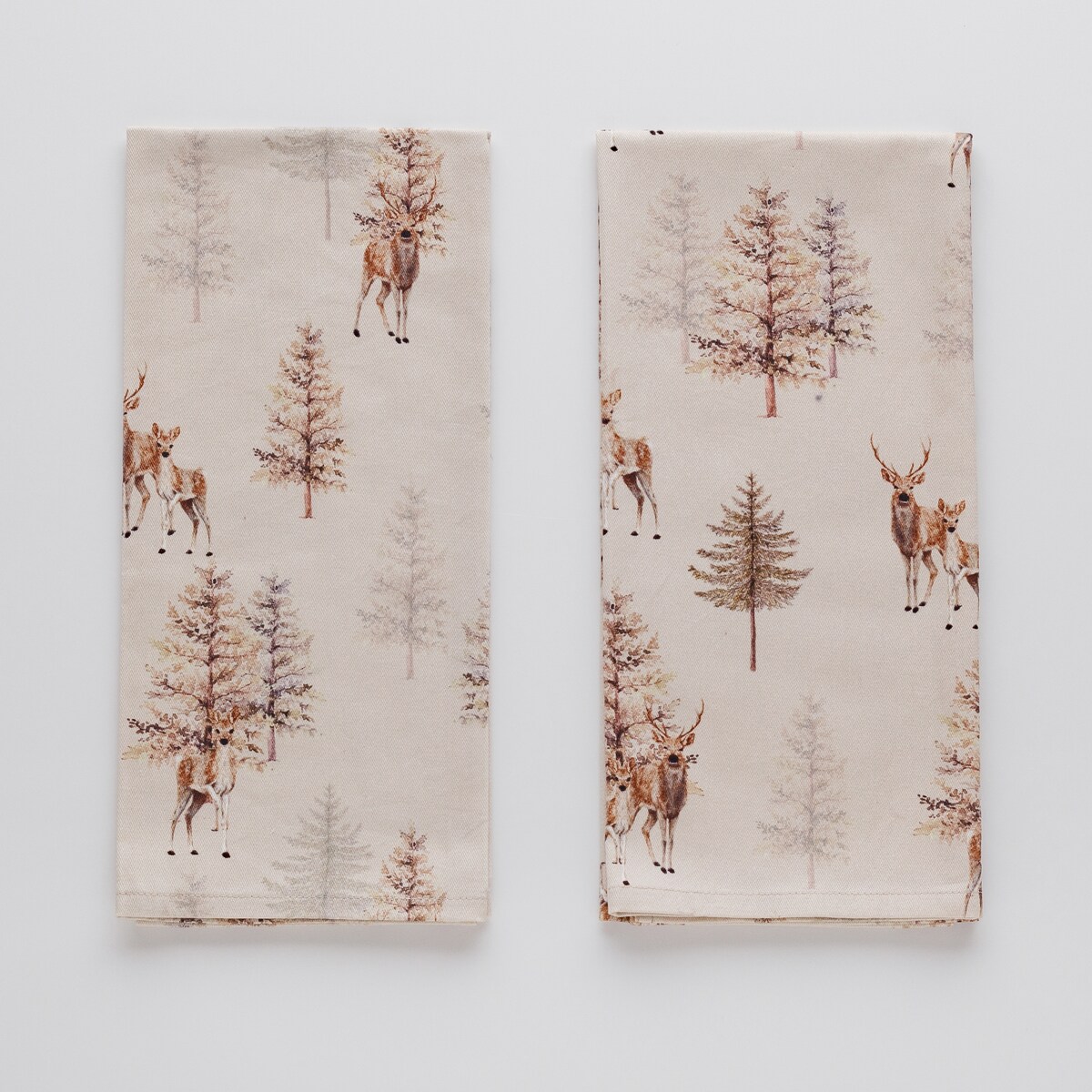 Komplet Ścierek Nosteri 45x65 cm