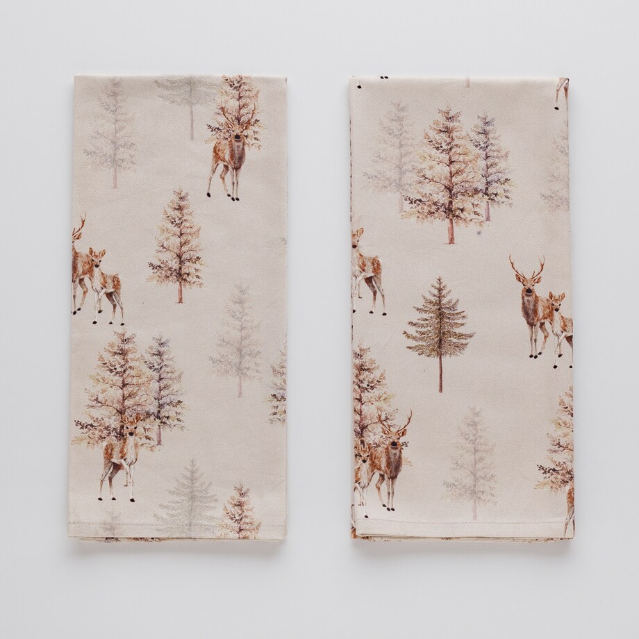 Komplet Ścierek Nosteri 45x65 cm