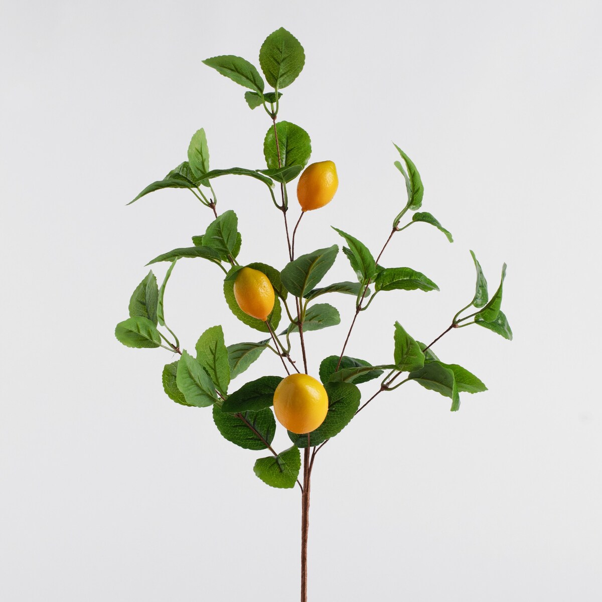 Kwiat Limones