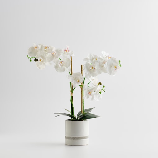 Sztuczne kwiaty w doniczce Orchibitto new