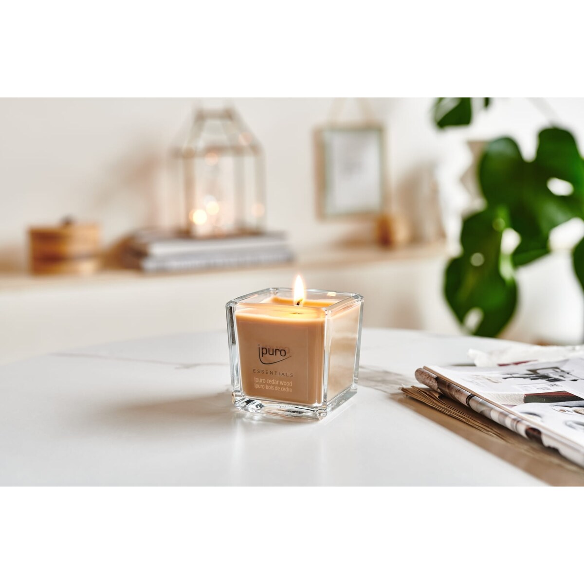 Świeca zapachowa ipuro ESSENTIALS Cedar Wood 125 g