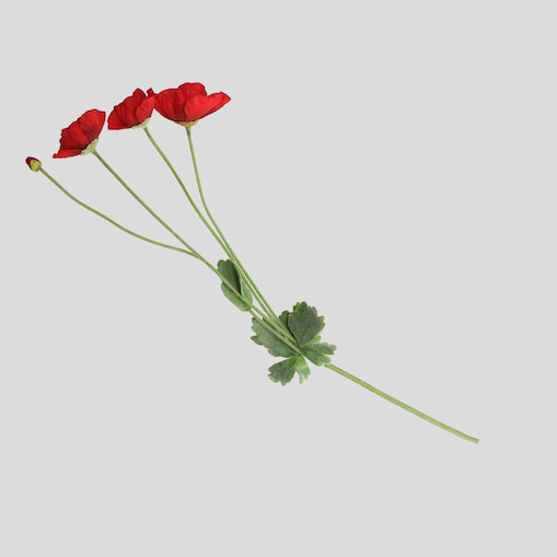 Kwiat Poppino