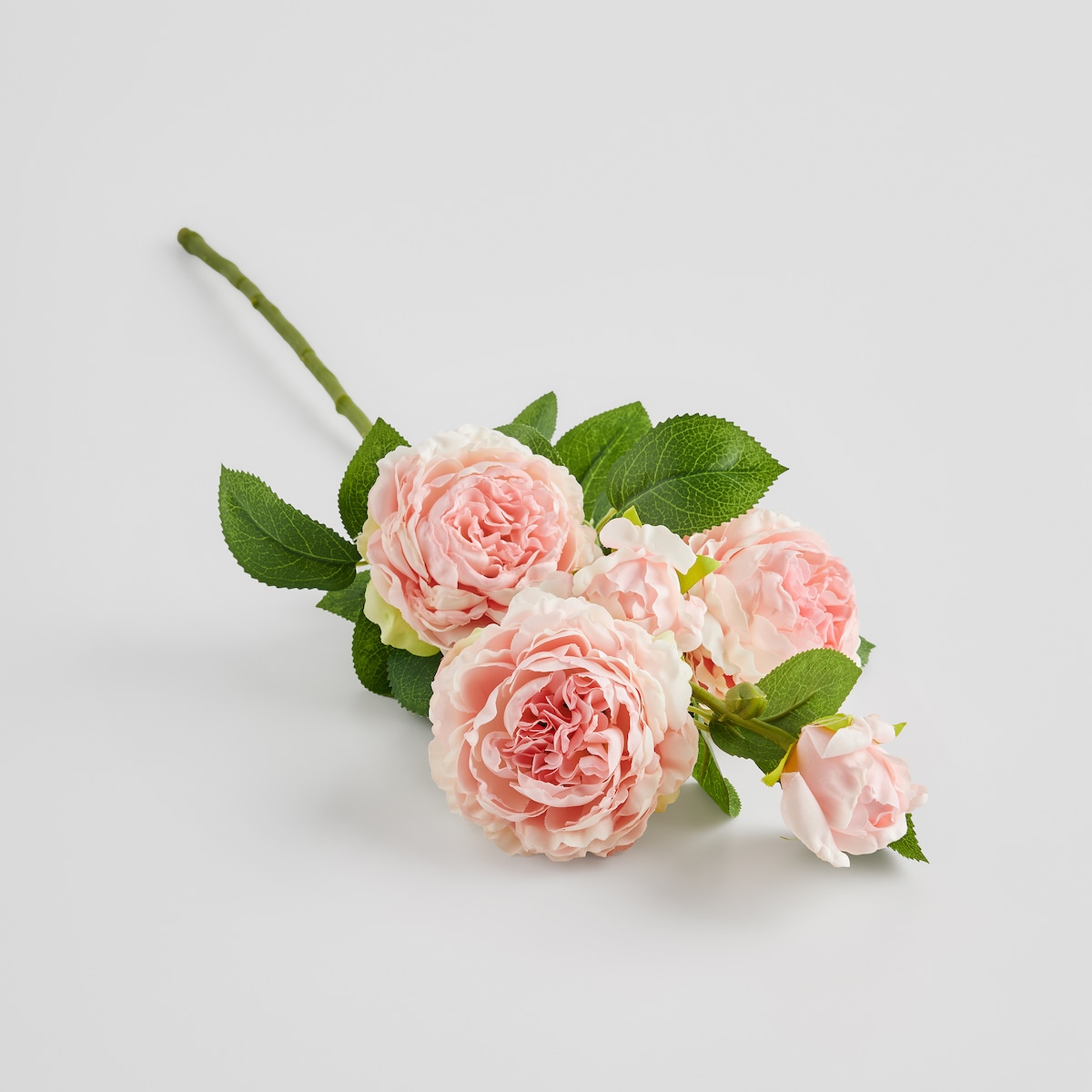 Kwiat Peoni z motywem kwiatowym