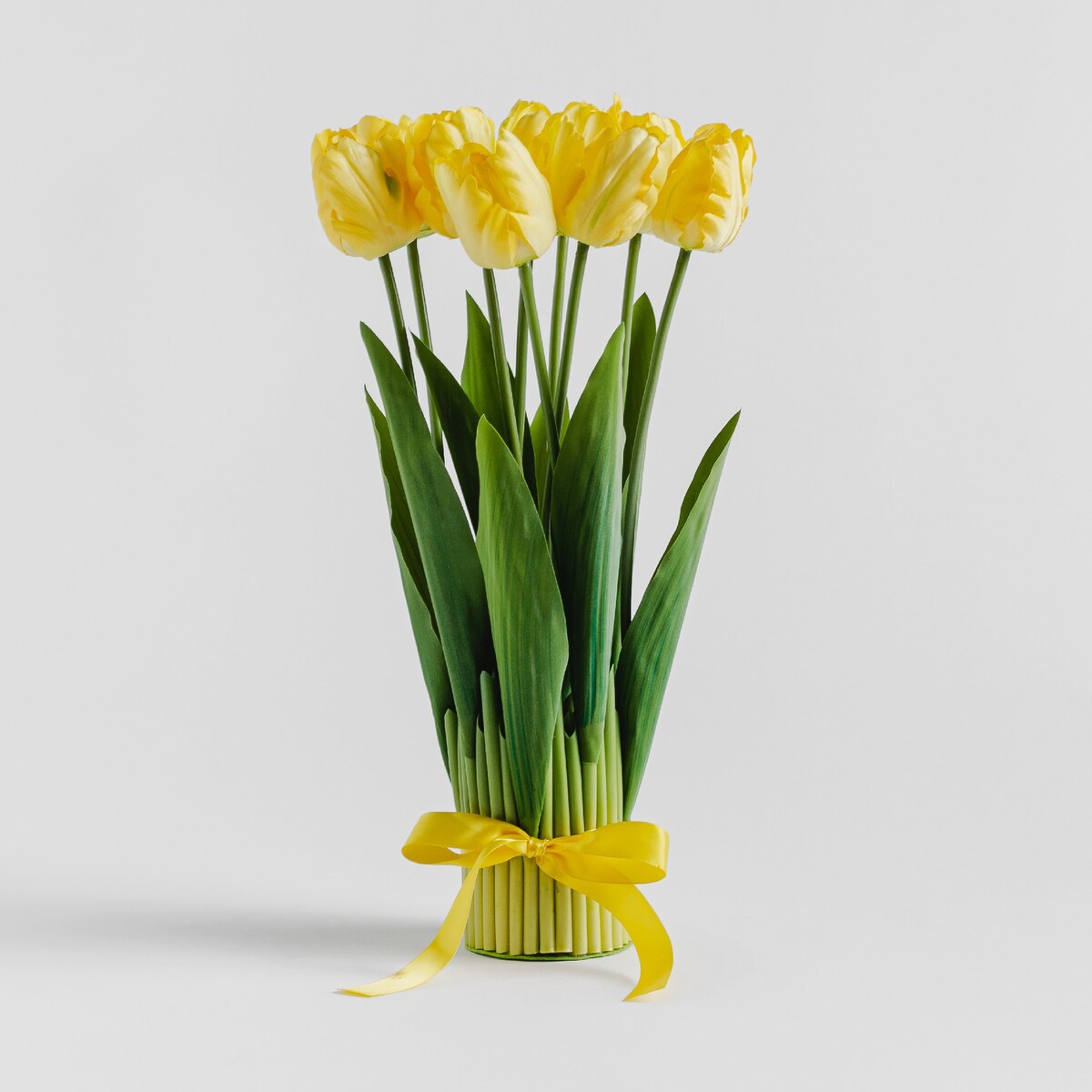 Stroik Tulipanes