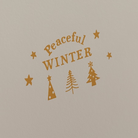 Szkatułka Xmastree 10x16 cm